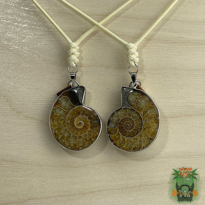 Ammonite Fossil Pendant with Adjustable Cord Necklace