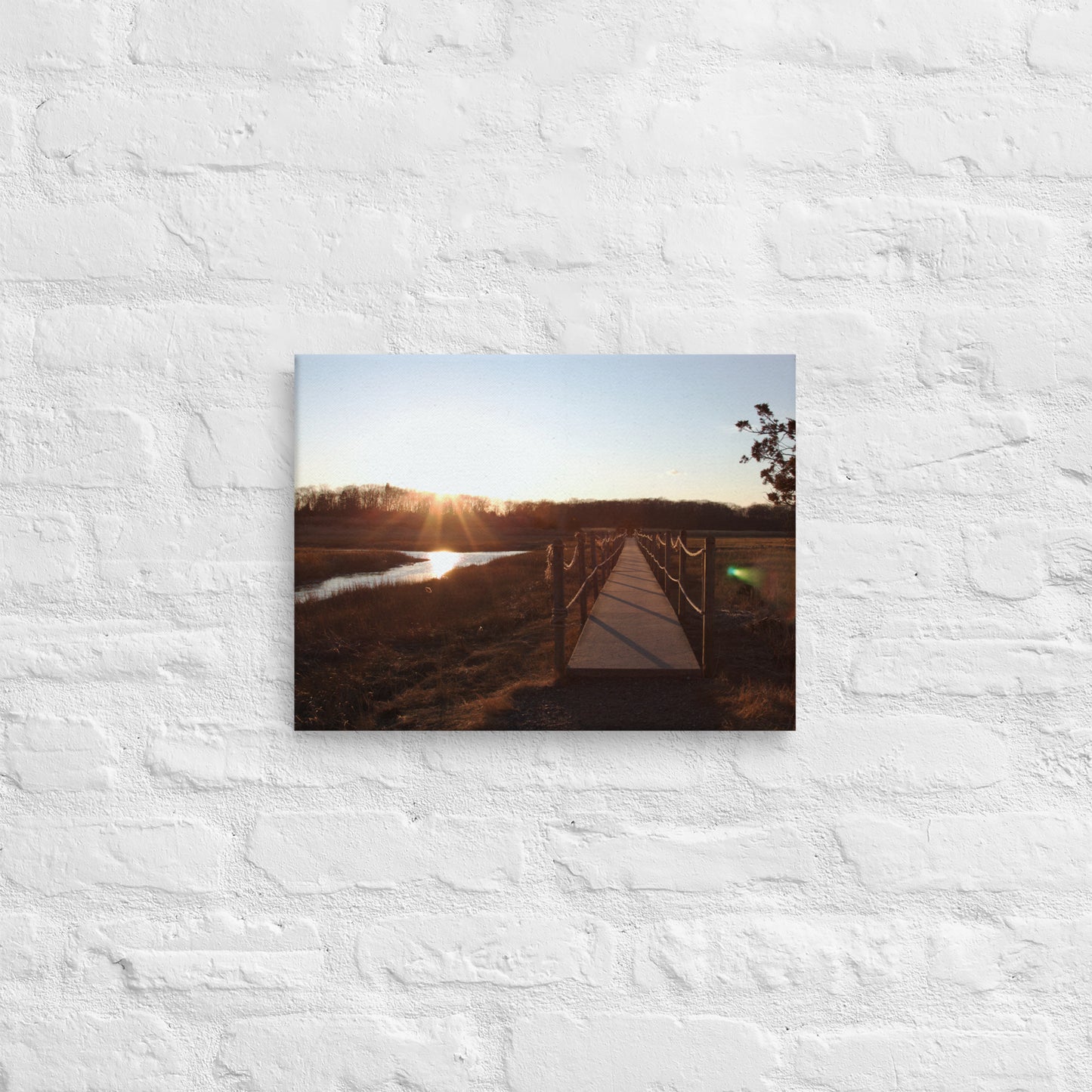 "Path Thru Branford's Trolley Trail" (Canvas Print)