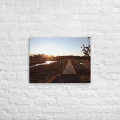 "Path Thru Branford's Trolley Trail" (Canvas Print)