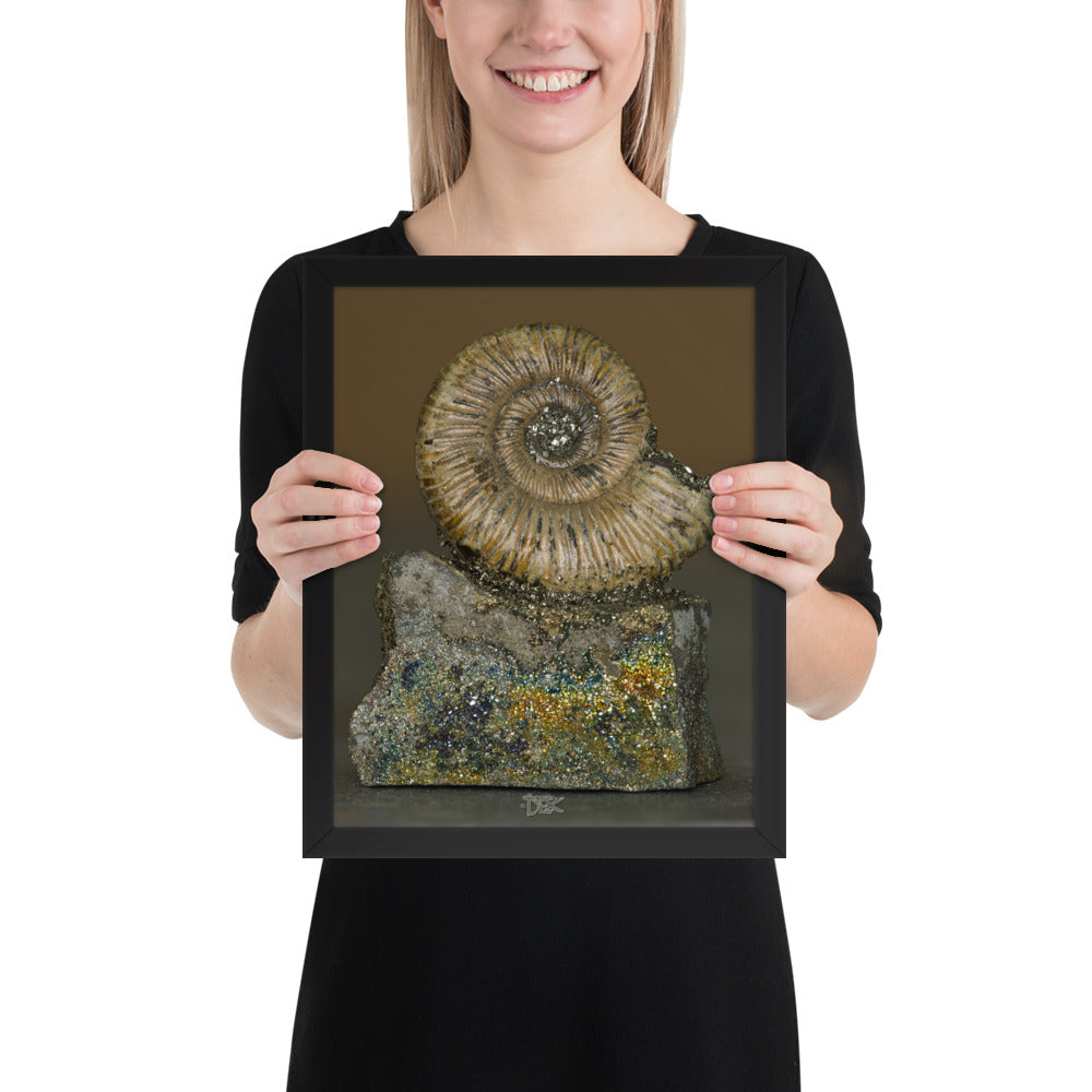 "Fossilized Ammonite w/Chalcopyrite" (11"x14"Framed Photo)