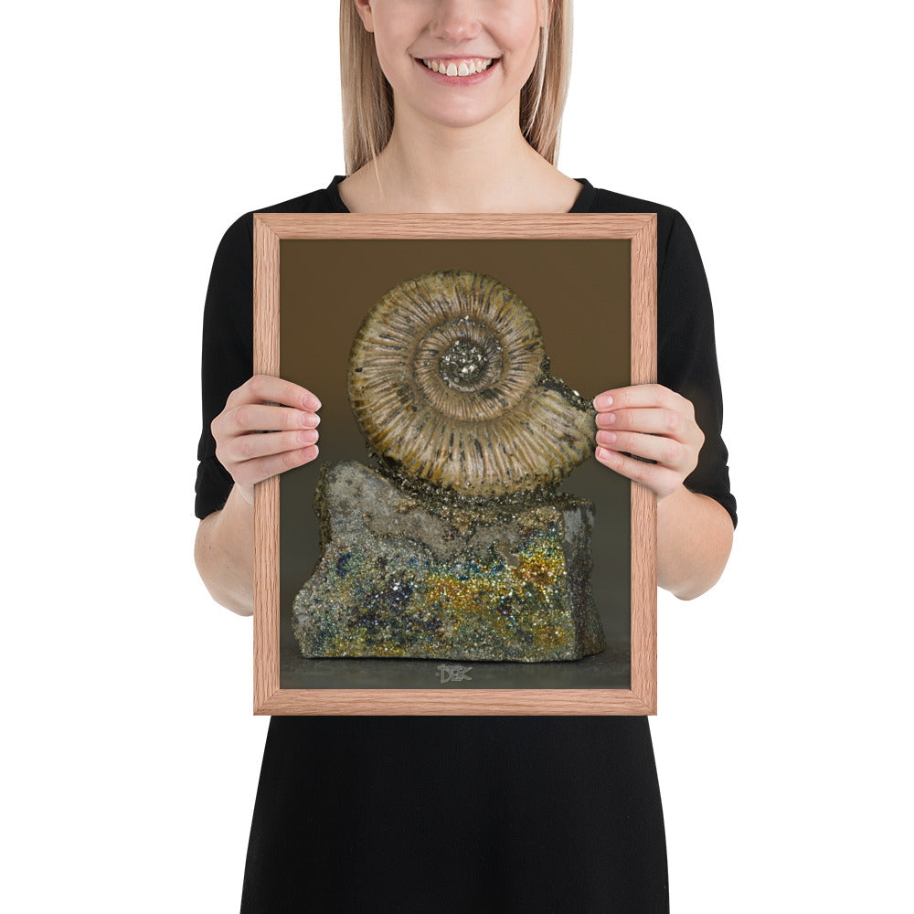 "Fossilized Ammonite w/Chalcopyrite" (11"x14"Framed Photo)